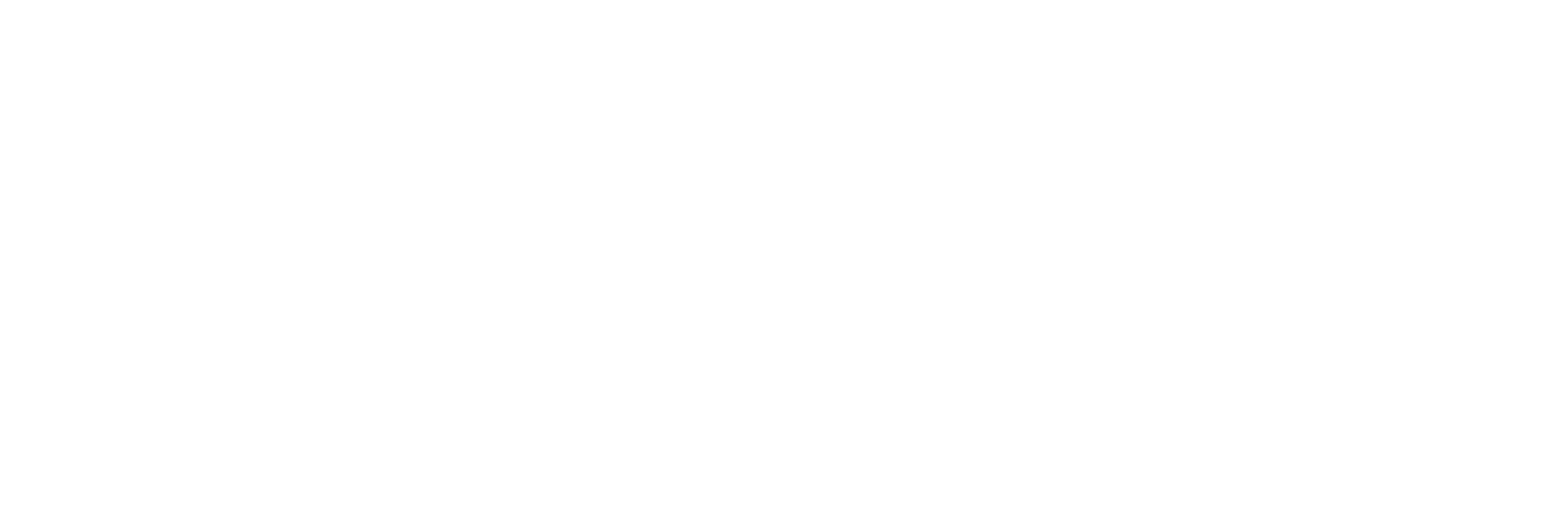 eCommerce Academy Logo